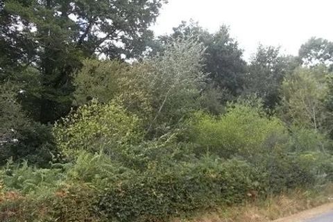 Helårsgrund i Cromac, Haute-Vienne, Cromac - € 19.000 | Ref: BVI71775 - foto 2