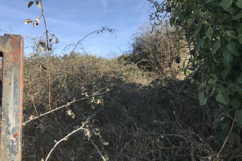 Landejendom i Dunet, Indre, Dunet - € 20.000 | Ref: BVI74326 - foto 11