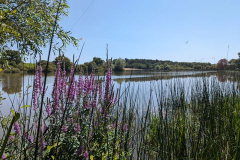 Villa a La Puye, Vienne, La Puye - € 429.300 | Ref: BVI75855 - foto 15
