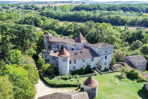 Villa a Lectoure, Gers, Lectoure - € 3.705.000 | Ref: BVI68228 - foto 13