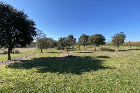 Villa a Monflanquin, Lot-et-Garonne, Monflanquin - € 344.500 | Ref: BVI78573 - foto 5