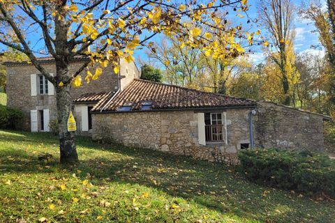 Villa i Nerac, Lot-et-Garonne, Nerac - € 650.000 | Ref: BVI72943 - foto 4