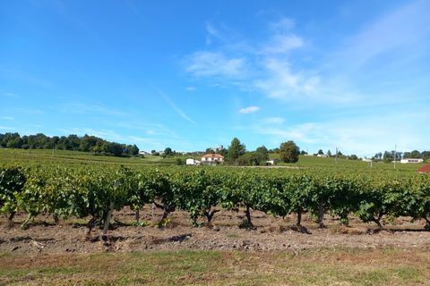 Villa a Jonzac, Charente-Maritime, Jonzac - € 214.000 | Ref: BVI77324 - foto 2