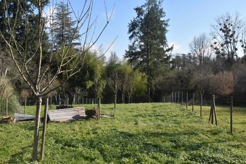 Landsbyhus i Payroux, Vienne, Payroux - € 31.000 | Ref: BVI77630 - foto 13