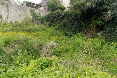 Dorfhaus in Charroux, Vienne, Charroux - € 31.000 | Ref: BVI65791 - Foto 13
