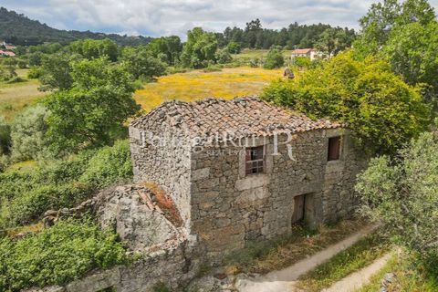 Farm i Belmonte, Castelo Branco, Belmonte - € 39.000 | Ref: FG333 - foto 2