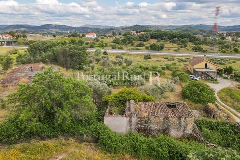 Farm i Belmonte, Castelo Branco, Belmonte - € 39.000 | Ref: FG333 - foto 3