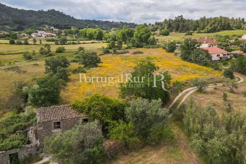 Farm i Belmonte, Castelo Branco, Belmonte - € 39.000 | Ref: FG333 - foto 4