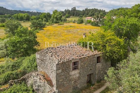 Farm i Belmonte, Castelo Branco, Belmonte - € 39.000 | Ref: FG333 - foto 6