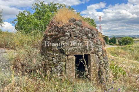 Farm i Belmonte, Castelo Branco, Belmonte - € 39.000 | Ref: FG333 - foto 7