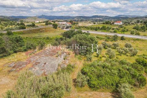 Farm i Belmonte, Castelo Branco, Belmonte - € 39.000 | Ref: FG333 - foto 8