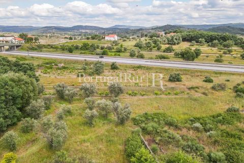 Farm i Belmonte, Castelo Branco, Belmonte - € 39.000 | Ref: FG333 - foto 9