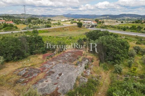 Farm i Belmonte, Castelo Branco, Belmonte - € 39.000 | Ref: FG333 - foto 10