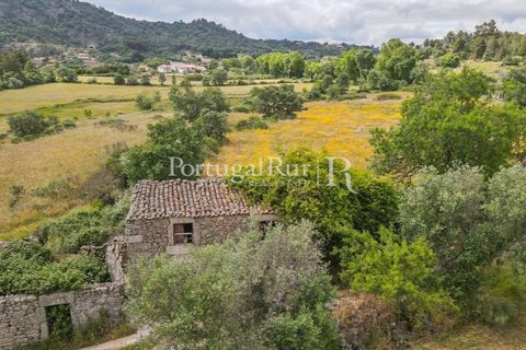 Farm i Belmonte, Castelo Branco, Belmonte - € 39.000 | Ref: FG333 - foto 11