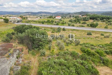 Farm i Belmonte, Castelo Branco, Belmonte - € 39.000 | Ref: FG333 - foto 12