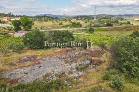 Farm i Belmonte, Castelo Branco, Belmonte - € 39.000 | Ref: FG333 - foto 13