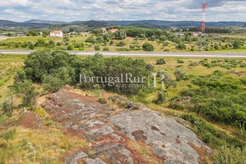 Farm i Belmonte, Castelo Branco, Belmonte - € 39.000 | Ref: FG333 - foto 14