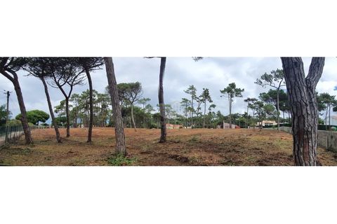 Terra a Almocageme, Lisbon, Almocageme - € 1.150.000 | Ref: T102 - foto 27