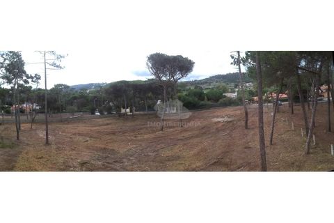 Terra a Almocageme, Lisbon, Almocageme - € 1.150.000 | Ref: T102 - foto 28