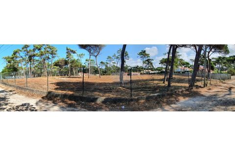 Terra a Almocageme, Lisbon, Almocageme - € 1.150.000 | Ref: T102 - foto 29