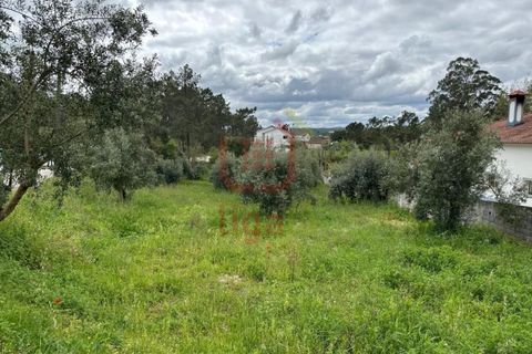 Helårsgrund i Ourem, Santarem, Ourem - € 29.000 | Ref: 1317 - foto 2