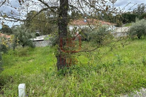 Helårsgrund i Ourem, Santarem, Ourem - € 29.000 | Ref: 1317 - foto 3