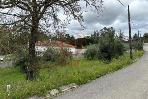 Helårsgrund i Ourem, Santarem, Ourem - € 29.000 | Ref: 1317 - foto 4