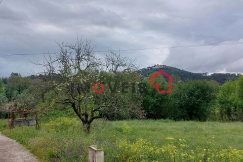 Byhus i Ourem, Santarem, Ourem - € 300.000 | Ref: 00675 - foto 2