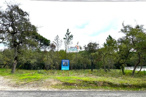 Helårsgrund i Leiria, Leiria, Leiria - € 80.000 | Ref: 080425 - foto 3