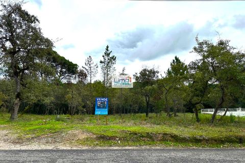 Helårsgrund i Leiria, Leiria, Leiria - € 80.000 | Ref: 080425 - foto 4