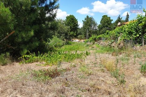 Helårsgrund i Vila Real, Vila Real, Vila Real - € 50.000 | Ref: 259190066 - foto 3