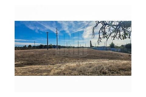 Helårsgrund i Ermidas do Sado, Setubal, Ermidas do Sado - € 220.000 | Ref: 9898 - foto 3