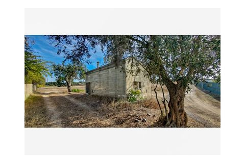 Helårsgrund i Ermidas do Sado, Setubal, Ermidas do Sado - € 220.000 | Ref: 9898 - foto 4