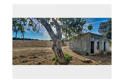 Helårsgrund i Ermidas do Sado, Setubal, Ermidas do Sado - € 220.000 | Ref: 9898 - foto 6