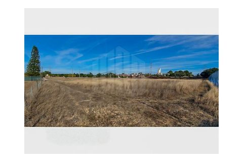 Helårsgrund i Ermidas do Sado, Setubal, Ermidas do Sado - € 220.000 | Ref: 9898 - foto 7