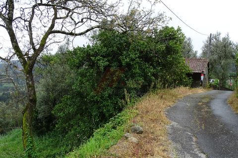 Villa i Celorico de Basto, Braga, Celorico de Basto - € 29.900 | Ref: 002-300 - foto 2