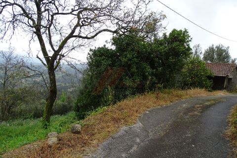 Villa i Celorico de Basto, Braga, Celorico de Basto - € 29.900 | Ref: 002-300 - foto 3