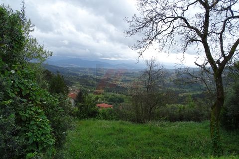 Villa i Celorico de Basto, Braga, Celorico de Basto - € 29.900 | Ref: 002-300 - foto 4