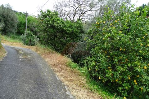 Villa i Celorico de Basto, Braga, Celorico de Basto - € 29.900 | Ref: 002-300 - foto 5