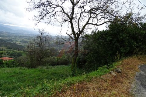 Villa i Celorico de Basto, Braga, Celorico de Basto - € 29.900 | Ref: 002-300 - foto 7