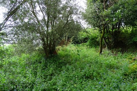 Villa i Celorico de Basto, Braga, Celorico de Basto - € 29.900 | Ref: 002-300 - foto 8