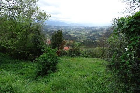 Villa i Celorico de Basto, Braga, Celorico de Basto - € 29.900 | Ref: 002-300 - foto 12