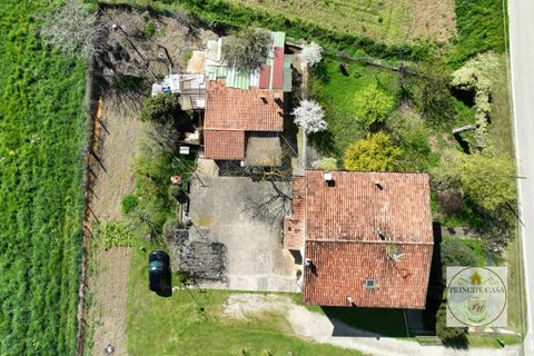 Villa i Stanghella, Padua, Stanghella - € 150.000 | Ref: S503 - foto 35