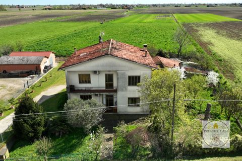 Villa i Stanghella, Padua, Stanghella - € 150.000 | Ref: S503 - foto 36