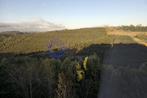 Lejlighed i Valongo, Porto, Valongo - € 265.000 | Ref: 1101891 - foto 21
