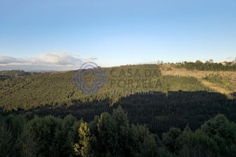 Lejlighed i Valongo, Porto, Valongo - € 265.000 | Ref: 1101891 - foto 25