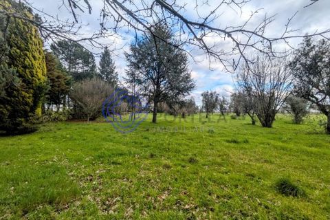 Helårsgrund i Viseu, Viseu, Viseu - € 200.000 | Ref: 199251 - foto 1