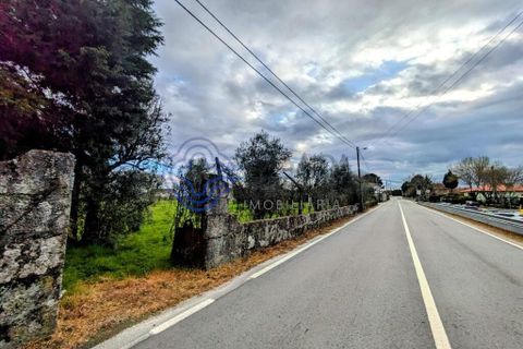 Helårsgrund i Viseu, Viseu, Viseu - € 200.000 | Ref: 199251 - foto 2