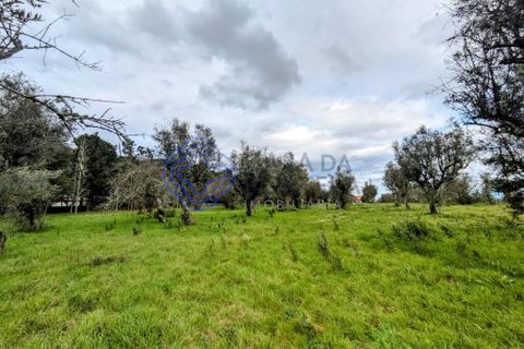 Helårsgrund i Viseu, Viseu, Viseu - € 200.000 | Ref: 199251 - foto 3