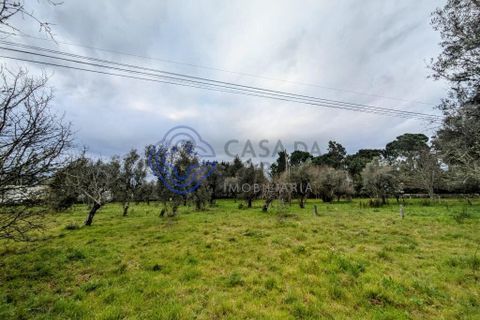 Helårsgrund i Viseu, Viseu, Viseu - € 200.000 | Ref: 199251 - foto 5